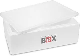Therm-Box Boîte en polystyrène 29 W mur 3 cm Capacité 29,1 l intérieur 53 x 33 x 16 cm